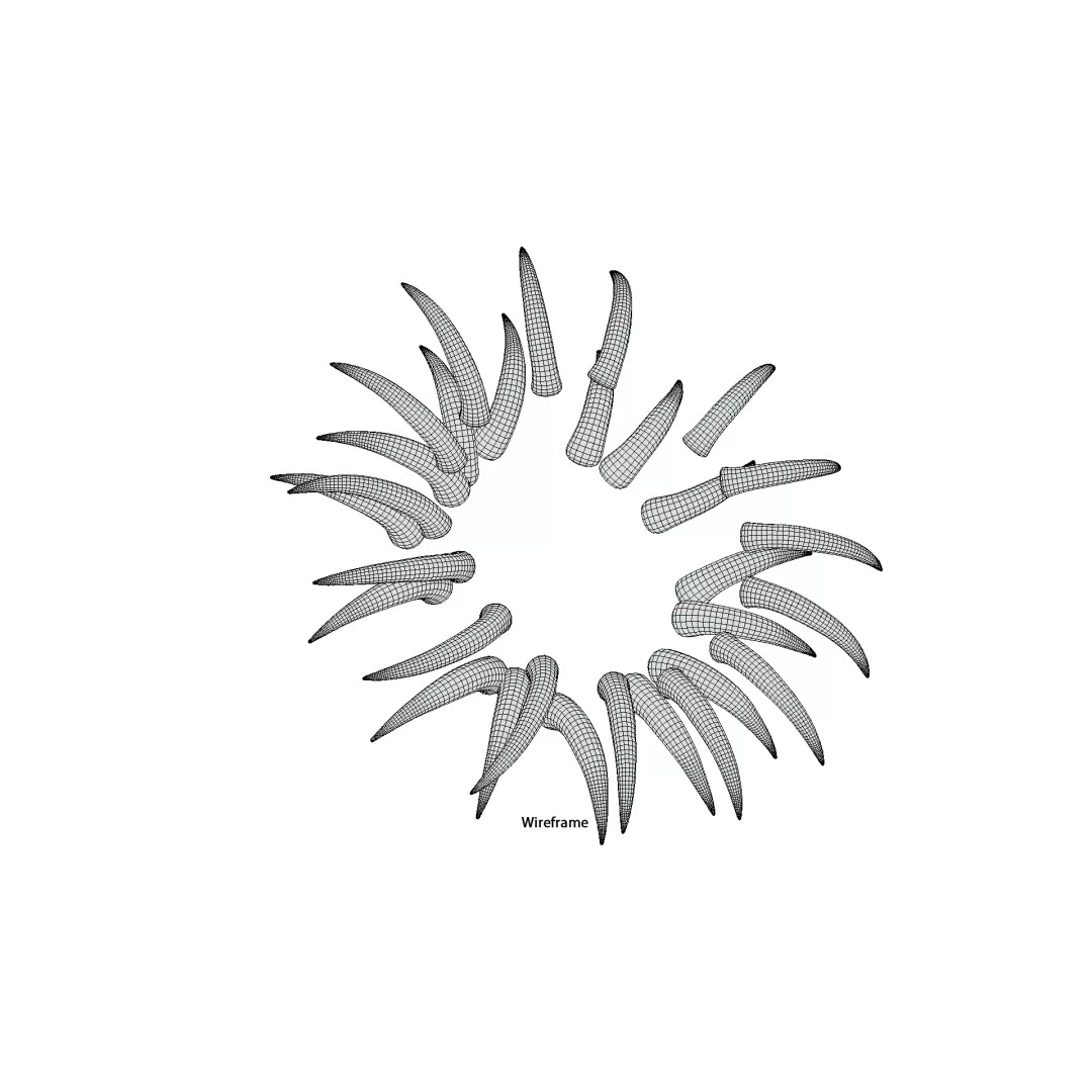 Taenia Saginata Tapeworm 3D Model – Realistic Medical Asset, FBX, OBJ