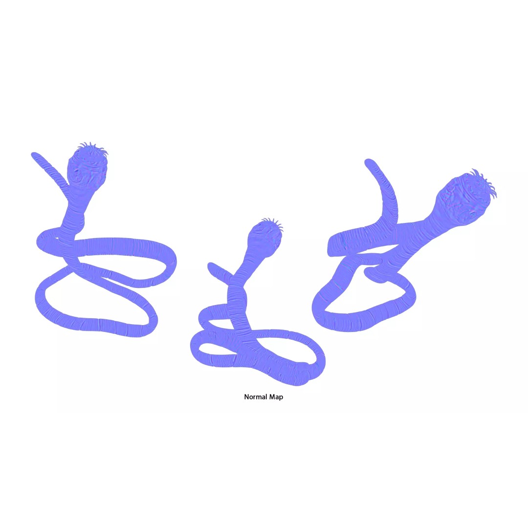 Taenia Saginata Tapeworm 3D Model – Realistic Medical Asset, FBX, OBJ - View 13