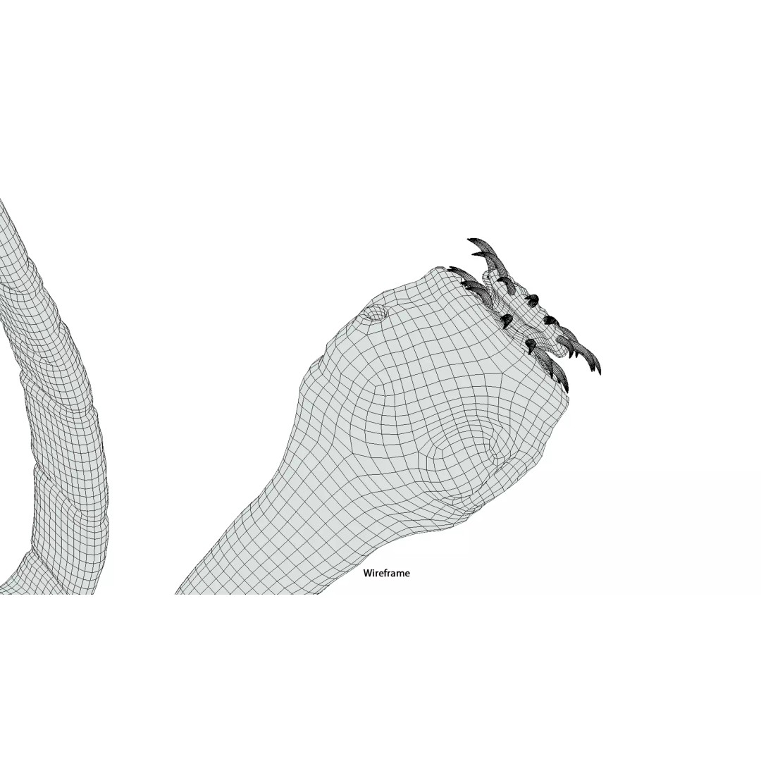 Taenia Saginata Tapeworm 3D Model – Realistic Medical Asset, FBX, OBJ - View 15