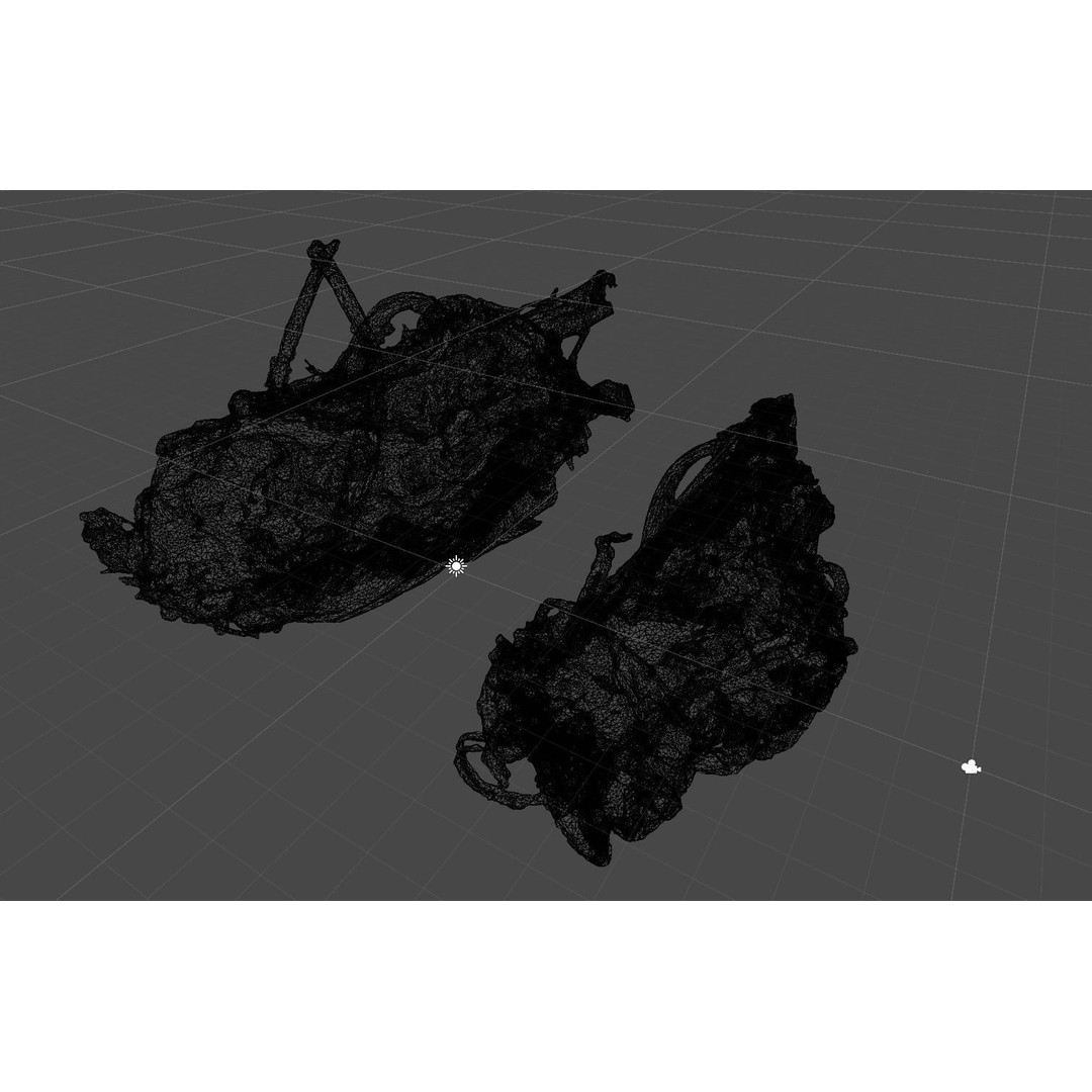 Rhizoma et Radix Ligustici 3D Model – Low Poly, PBR Textures, OBJ
