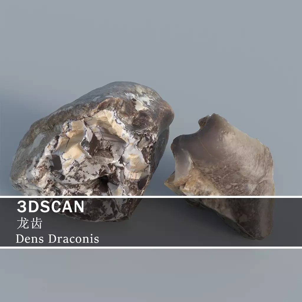 Dens Draconis 3D Model – Low Poly Traditional Chinese Medicine Asset, OBJ - View 2