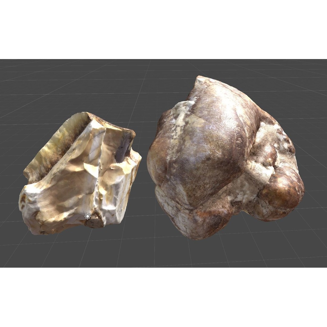 Dens Draconis 3D Model – Low Poly Traditional Chinese Medicine Asset, OBJ - View 5