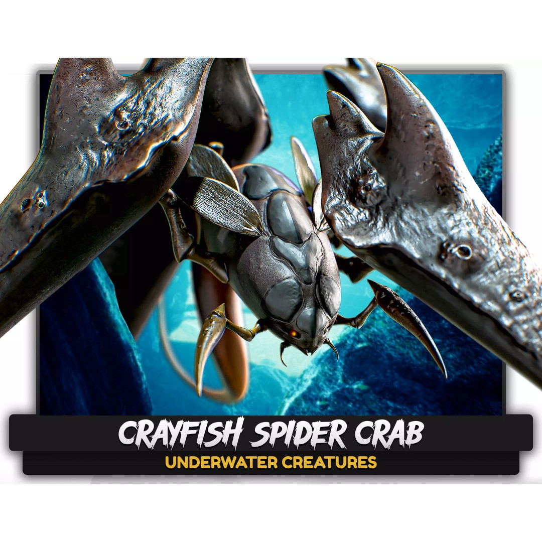 Crayfish Spider Crab 3D Model – Low Poly Game Ready Asset, FBX - View 2