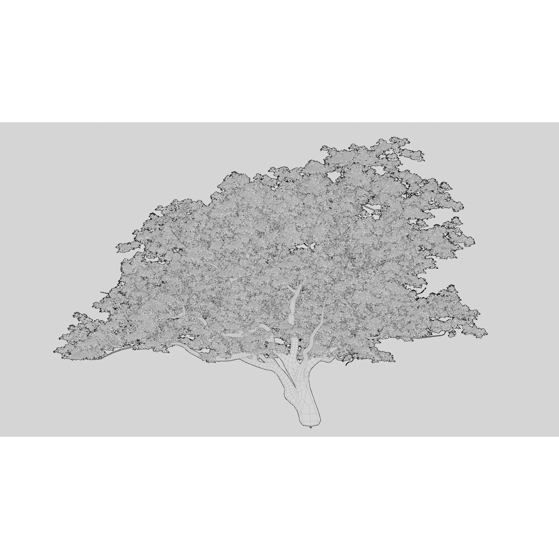 British Forest - Game-Ready 3D Model - View 15