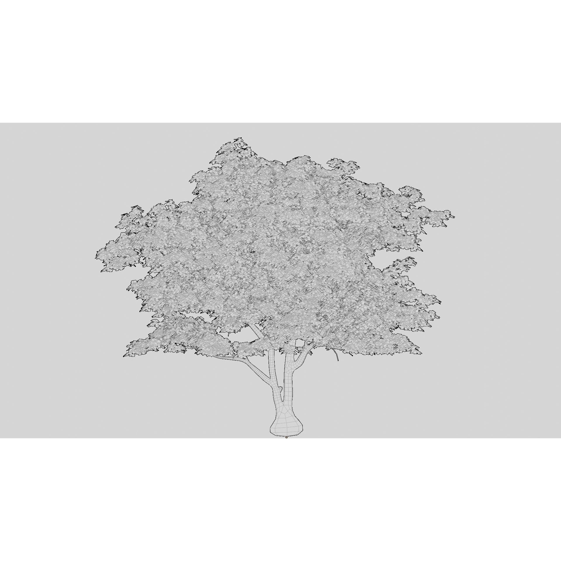 British Forest - Game-Ready 3D Model - View 16