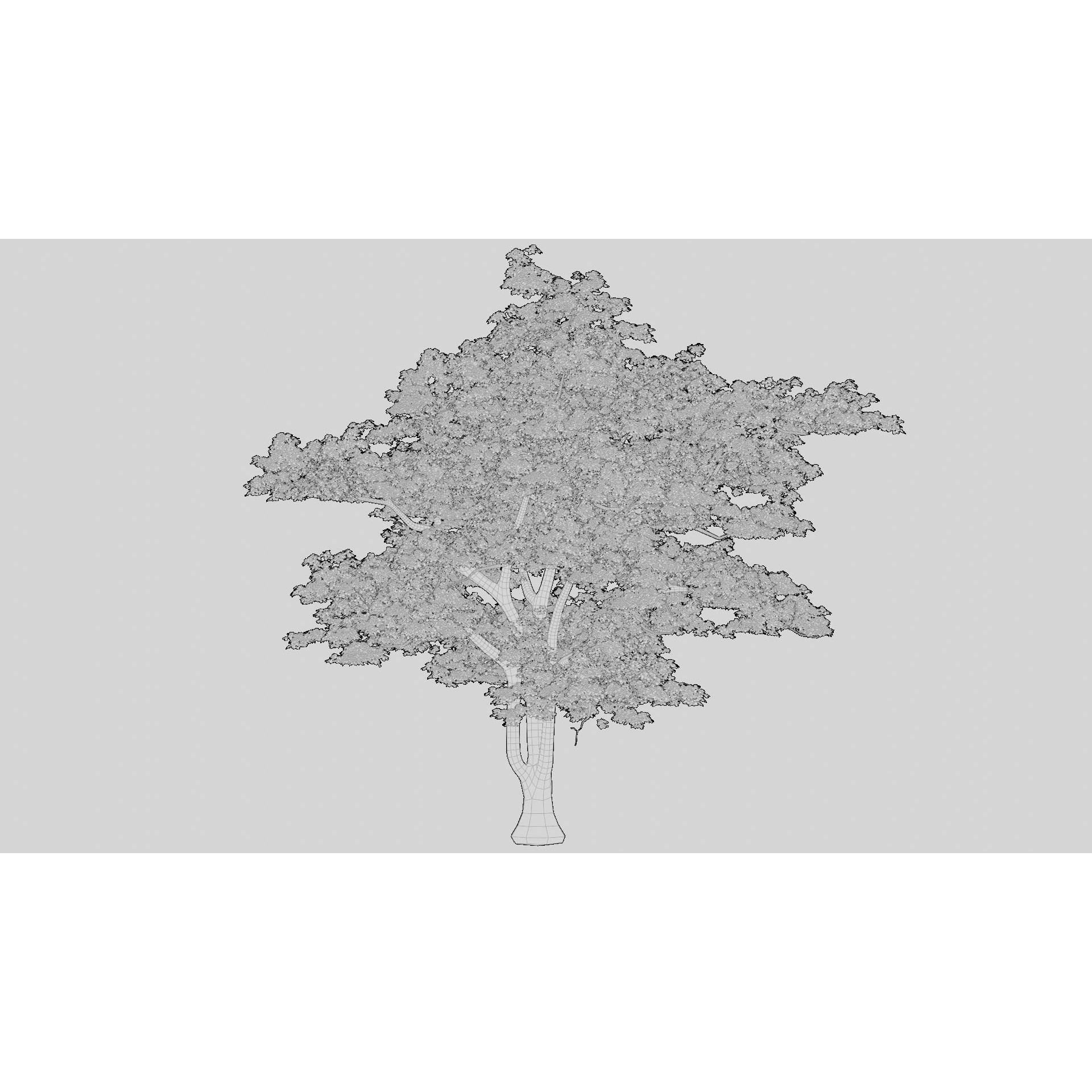 British Forest - Game-Ready 3D Model - View 17