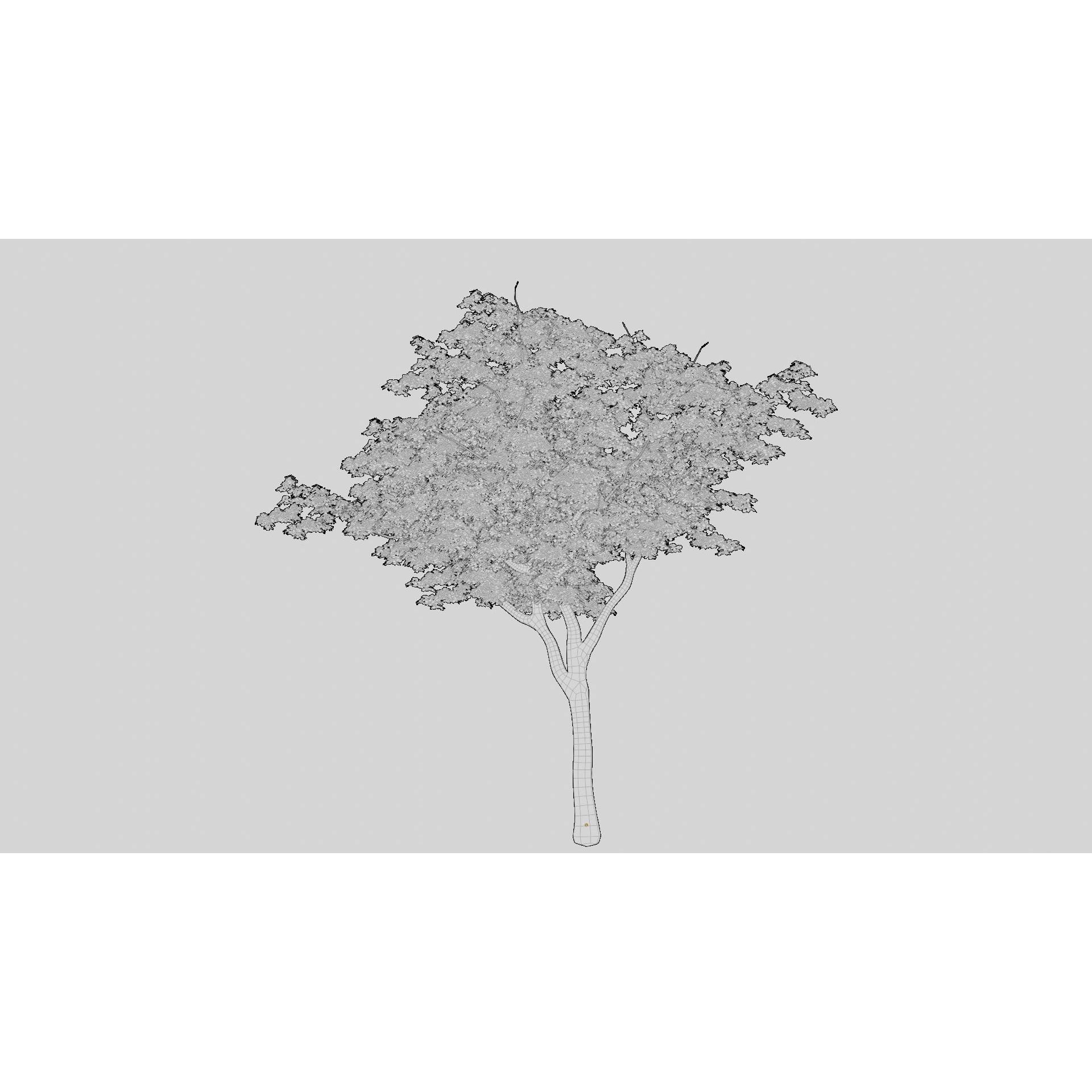 British Forest - Game-Ready 3D Model - View 19