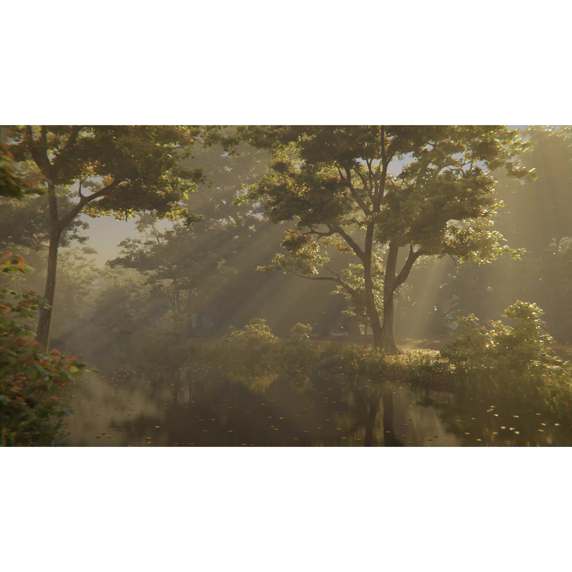 British Forest - Game-Ready 3D Model - View 2