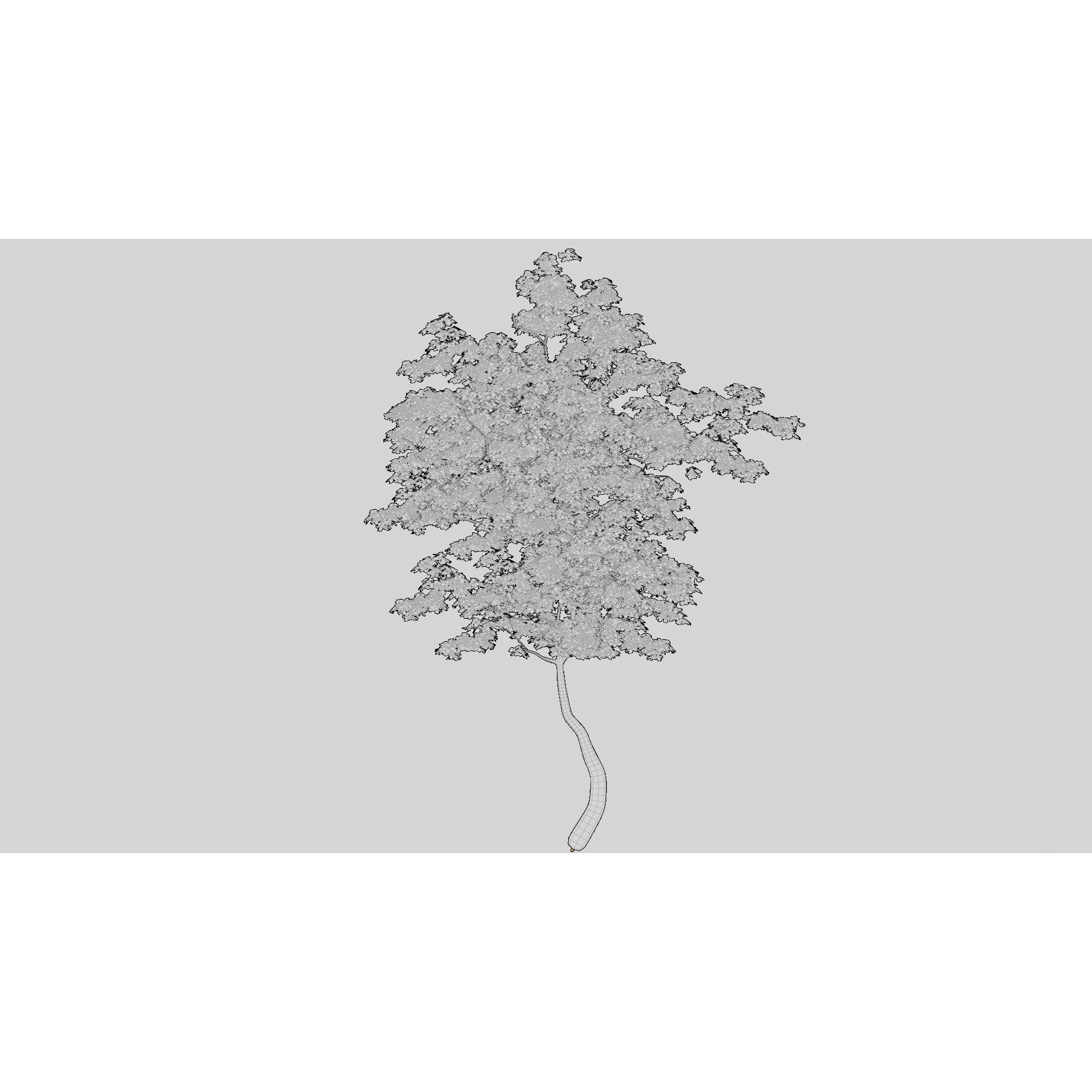 British Forest - Game-Ready 3D Model - View 20