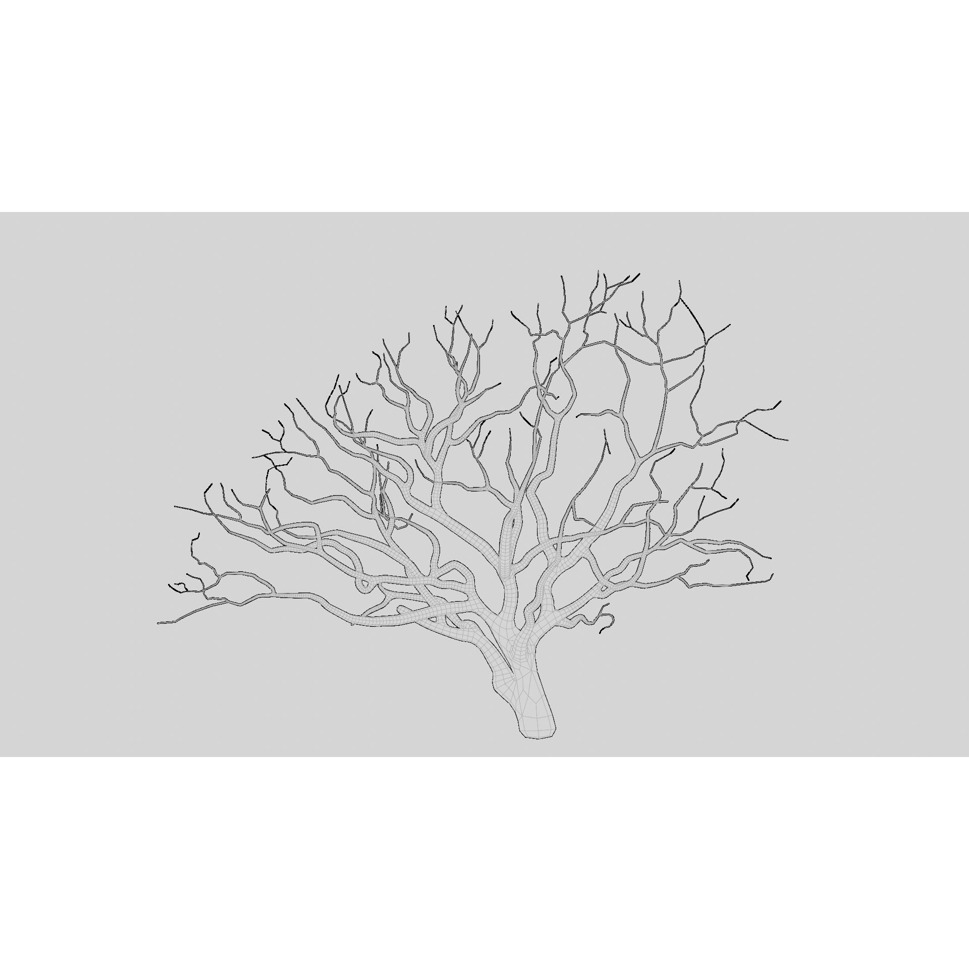 British Forest - Game-Ready 3D Model - View 22