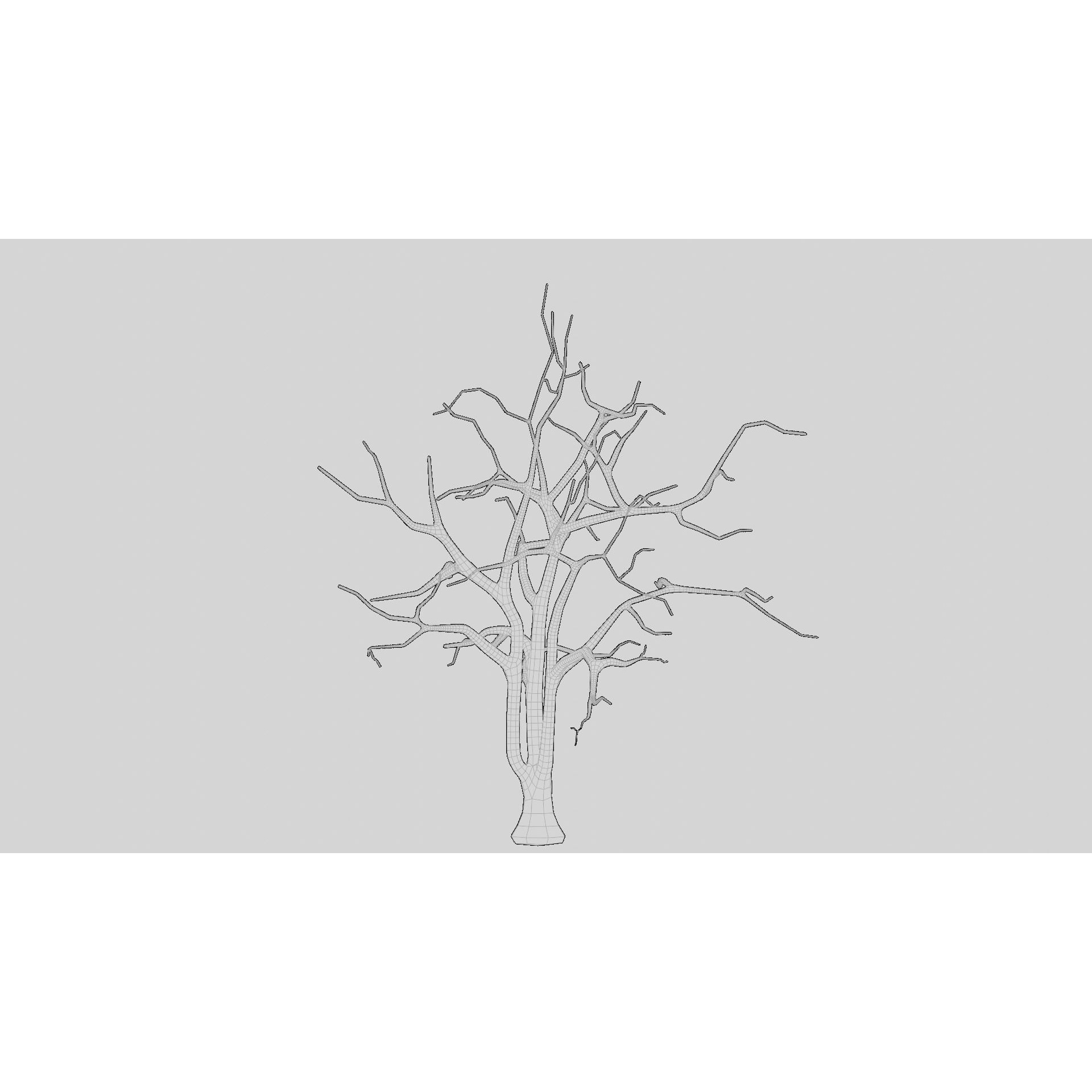 British Forest - Game-Ready 3D Model - View 23