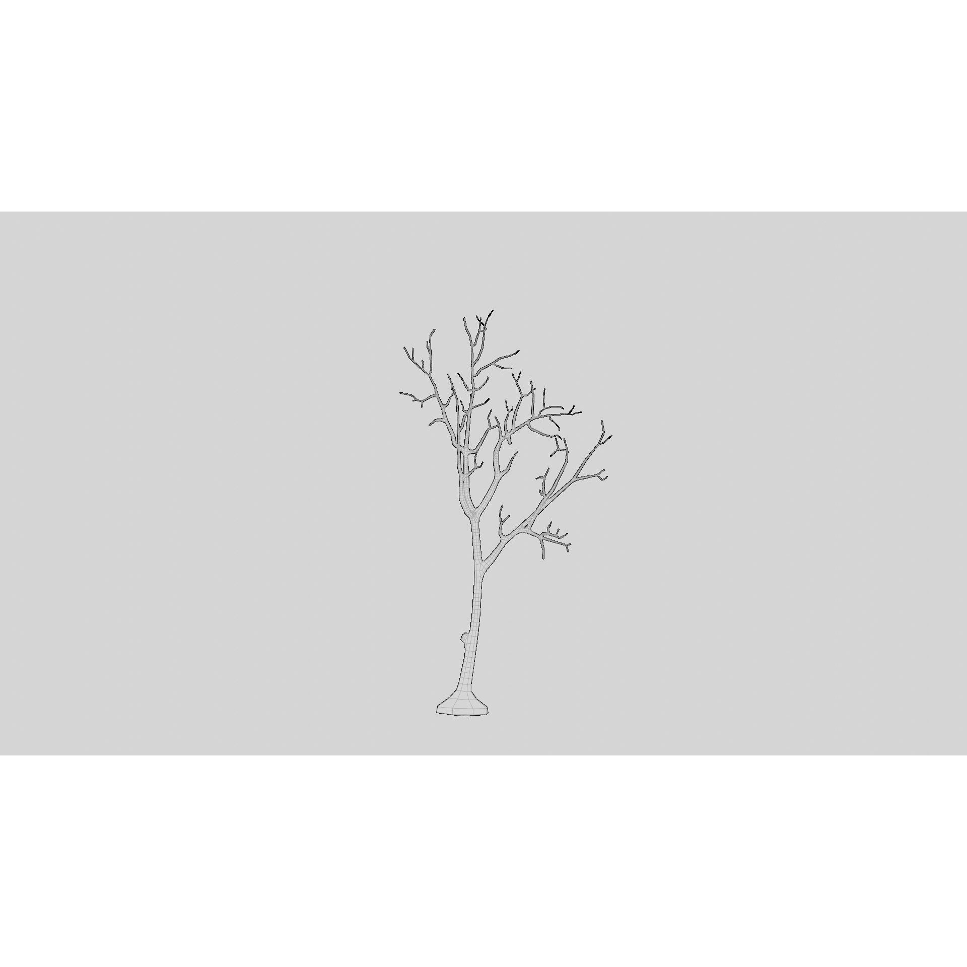 British Forest - Game-Ready 3D Model - View 25