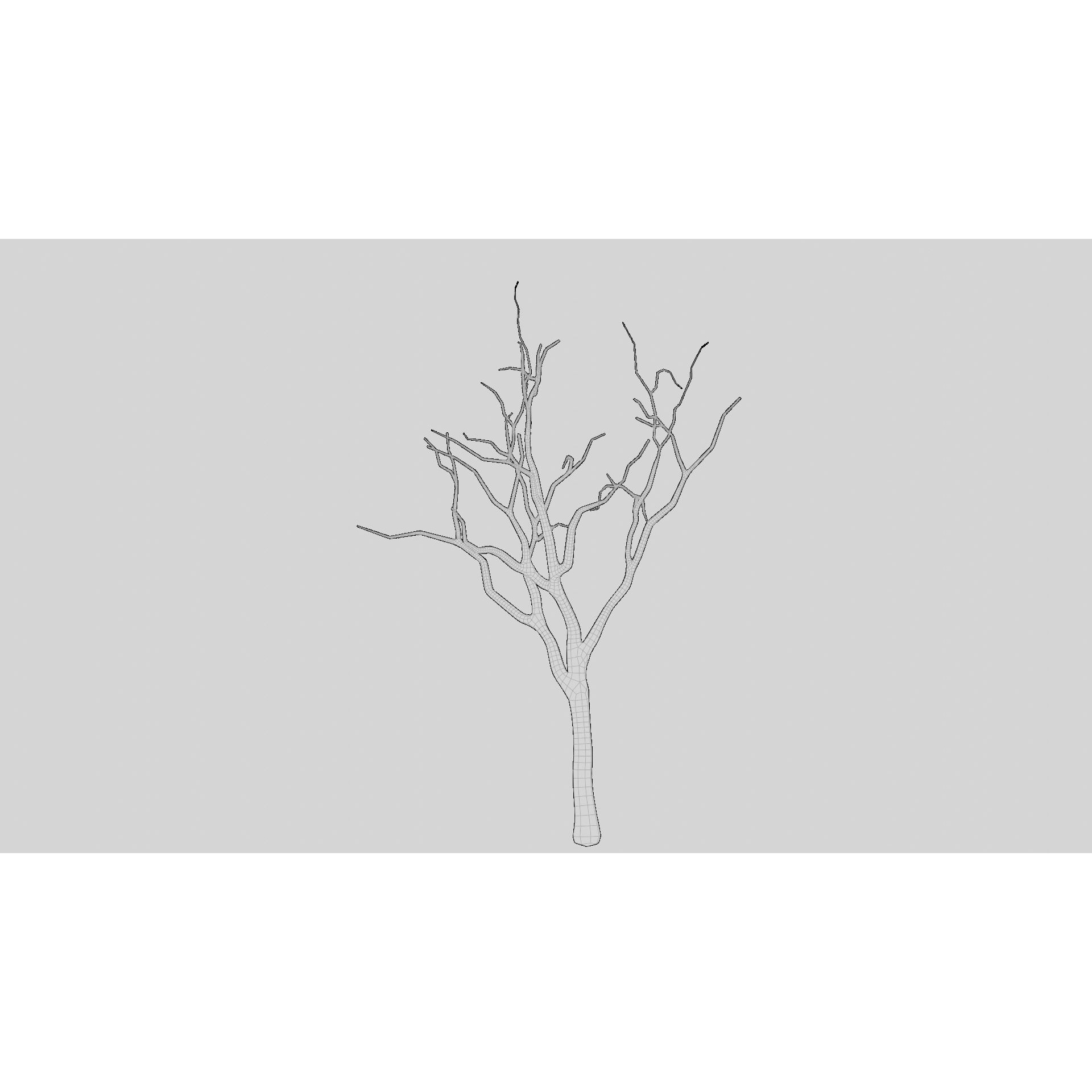 British Forest - Game-Ready 3D Model - View 26