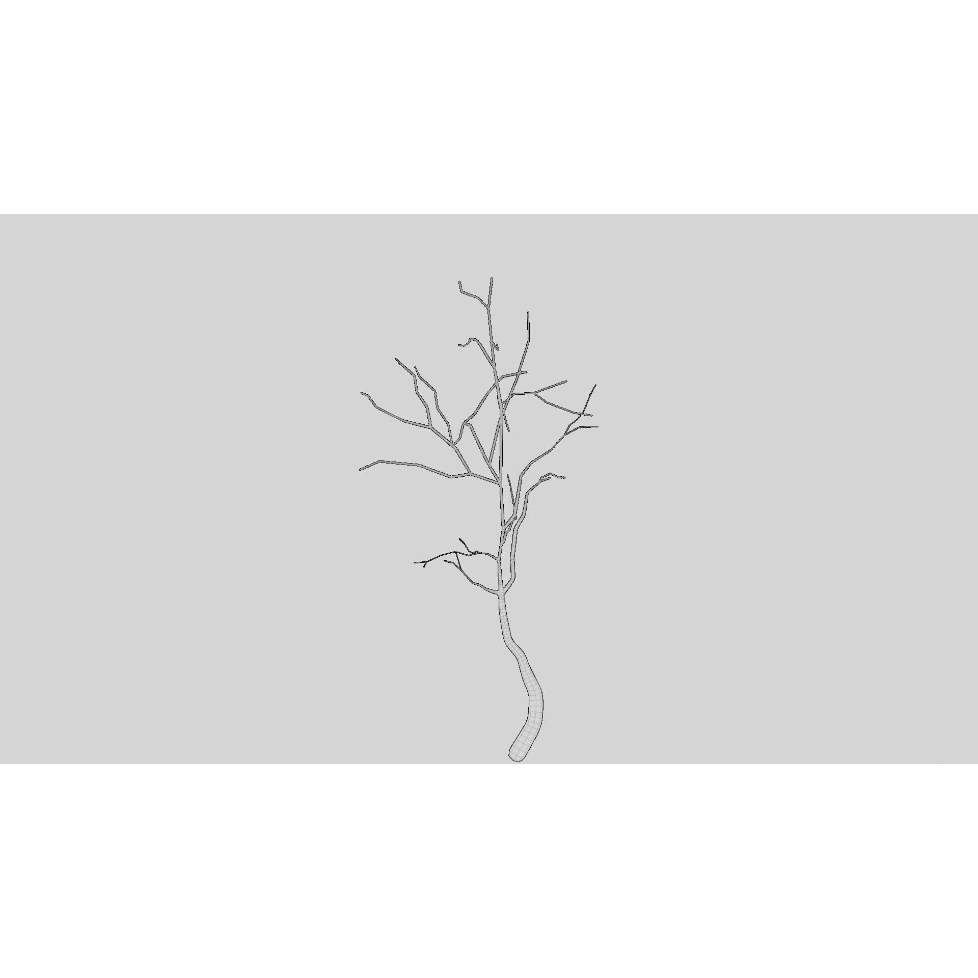 British Forest - Game-Ready 3D Model - View 27