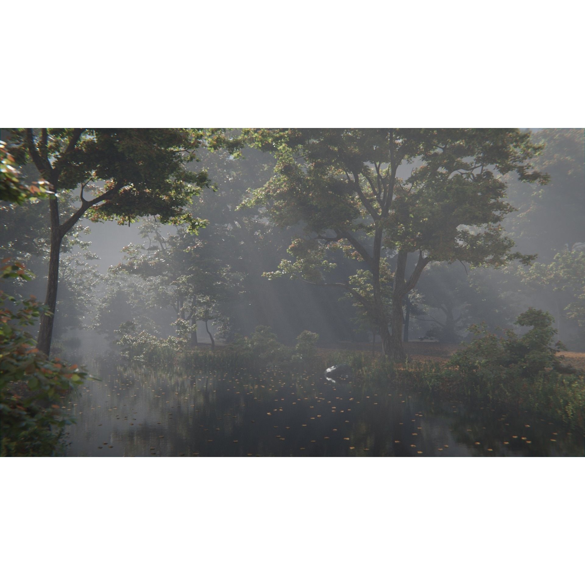 British Forest - Game-Ready 3D Model - View 4