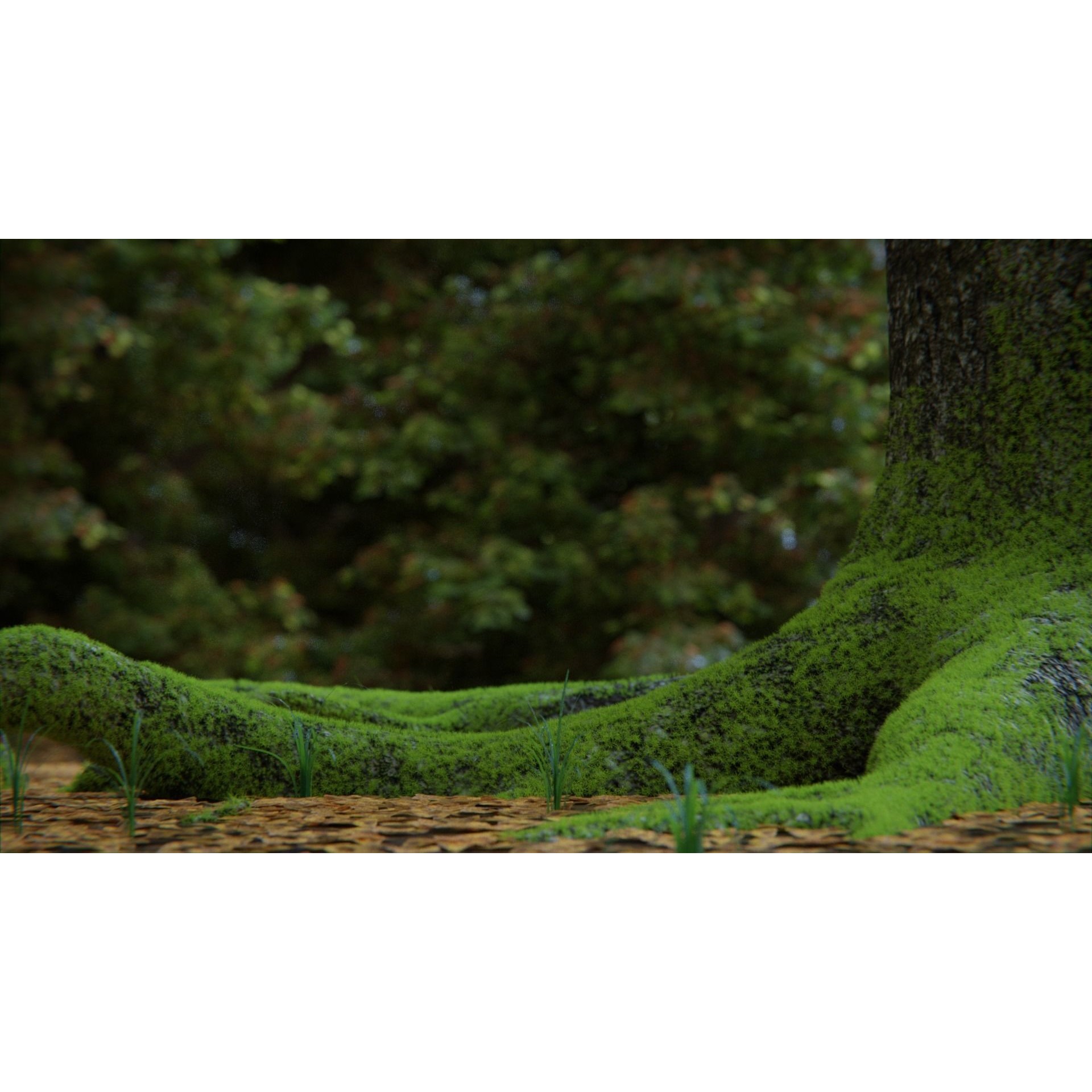 British Forest - Game-Ready 3D Model - View 5