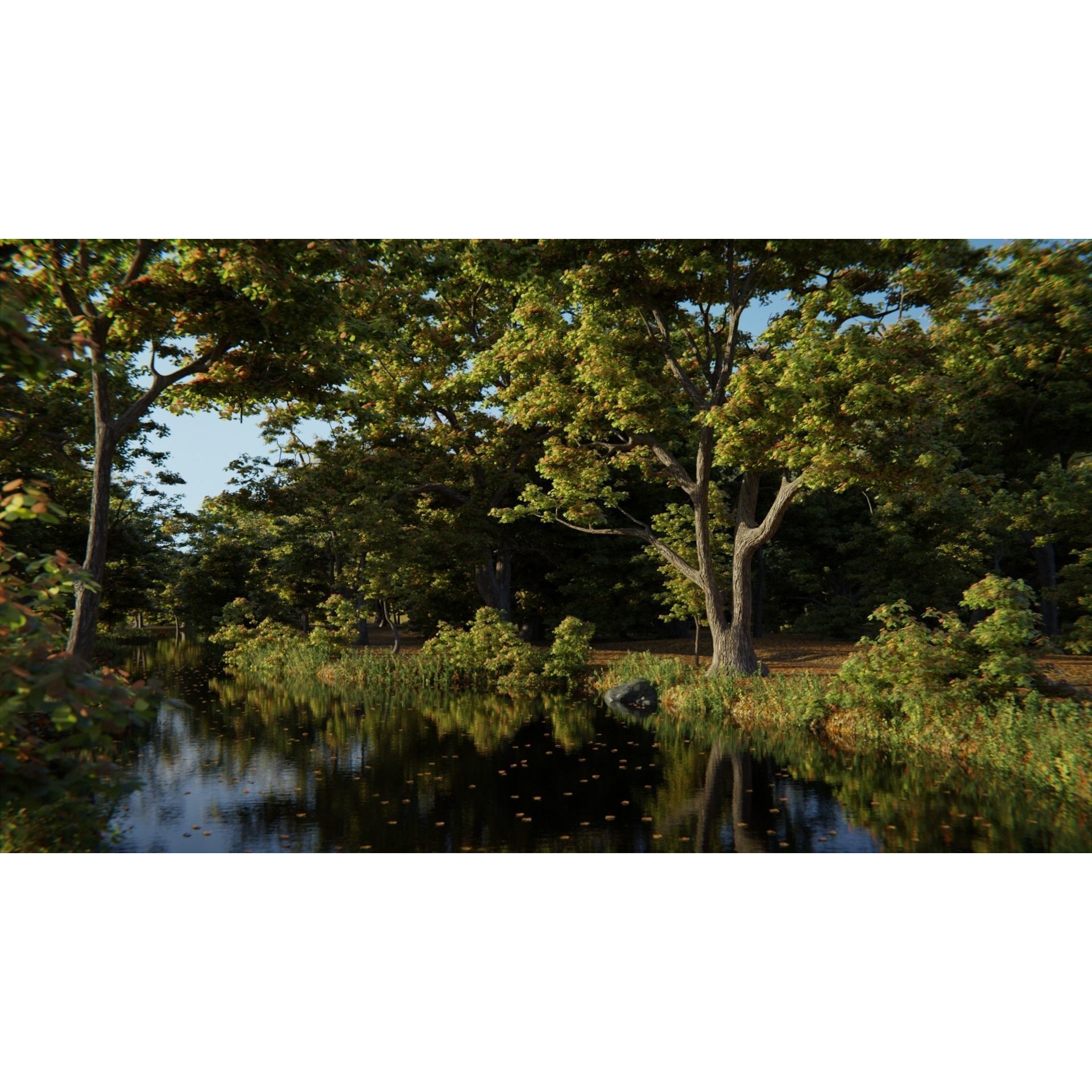 British Forest - Game-Ready 3D Model - View 6