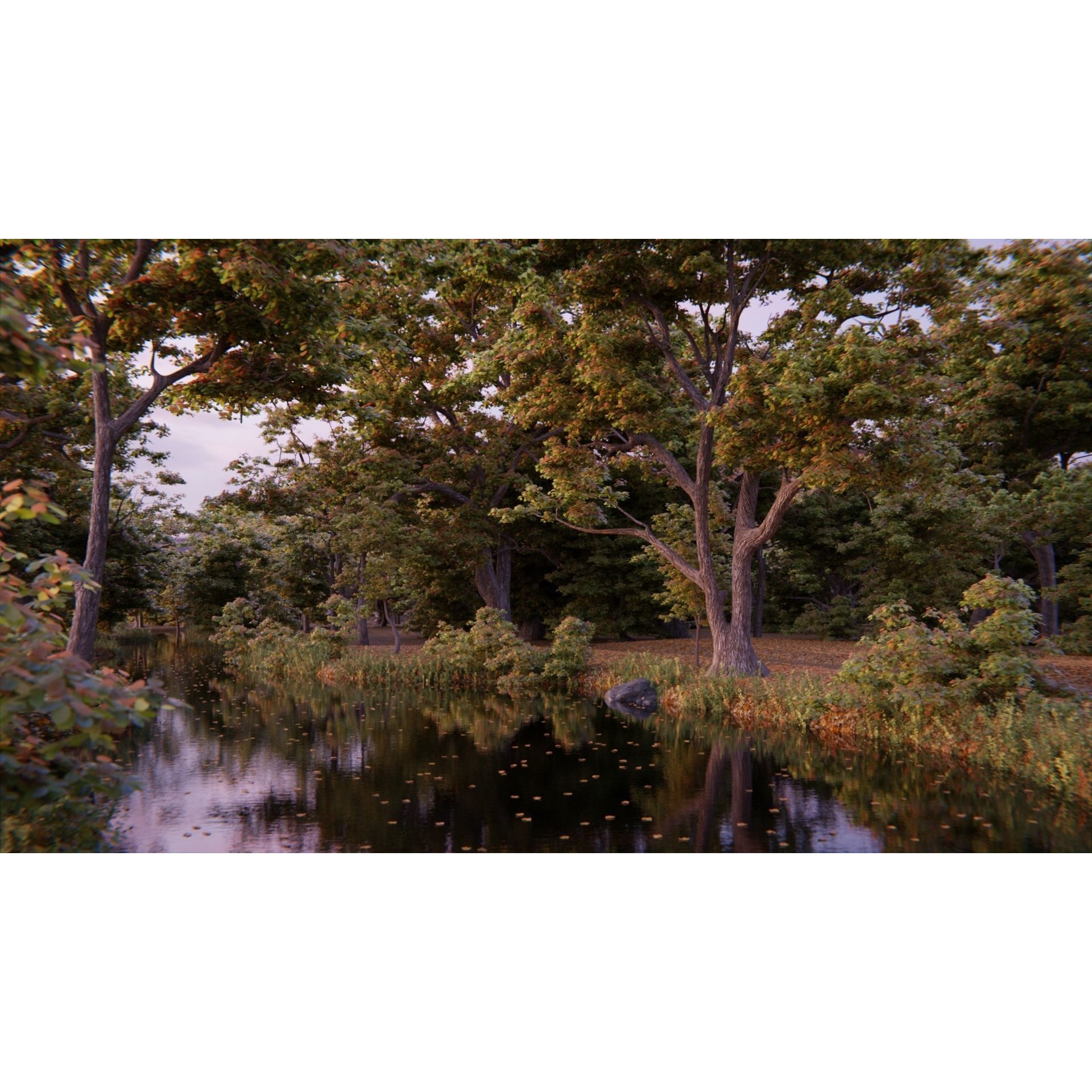 British Forest - Game-Ready 3D Model - View 7