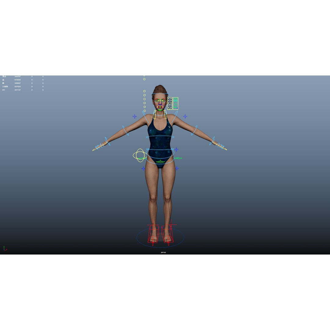 Female Windsurf 3D Model – Low Poly Rigged Character, FBX, OBJ - View 29
