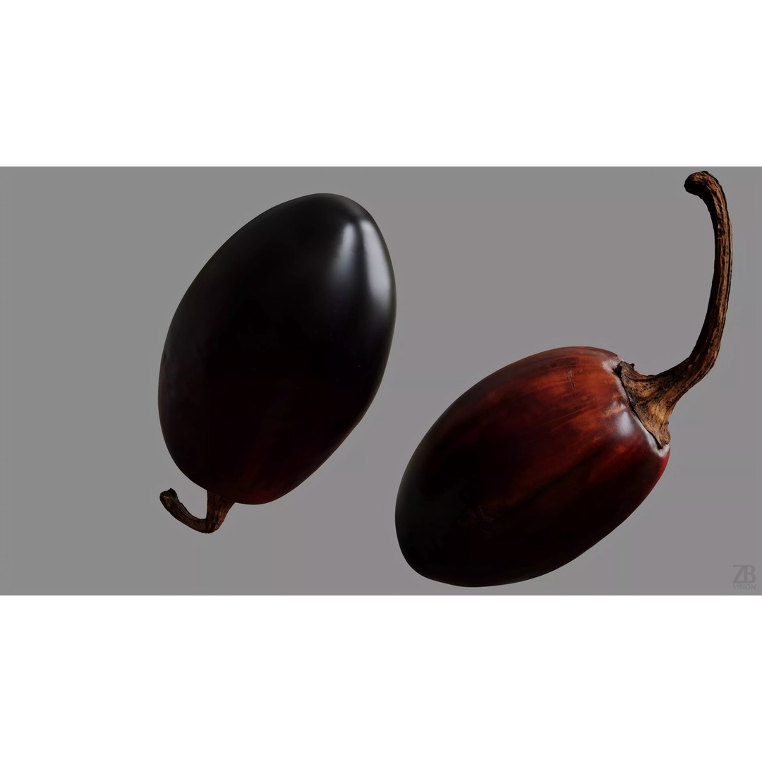 Cascabel Chili Pepper 3D Model – Photorealistic PBR Asset, FBX, OBJ