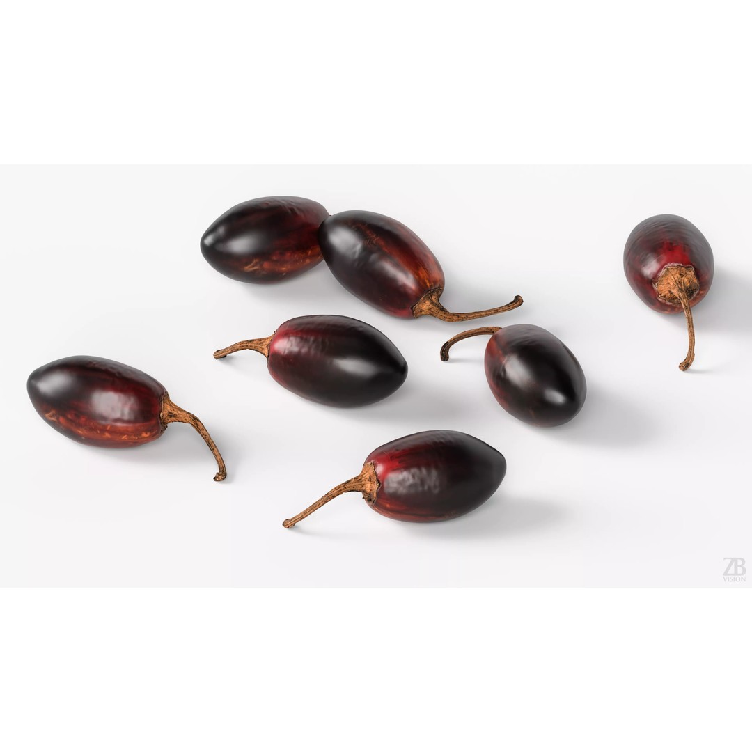 Cascabel Chili Pepper 3D Model – Photorealistic PBR Asset, FBX, OBJ - View 4