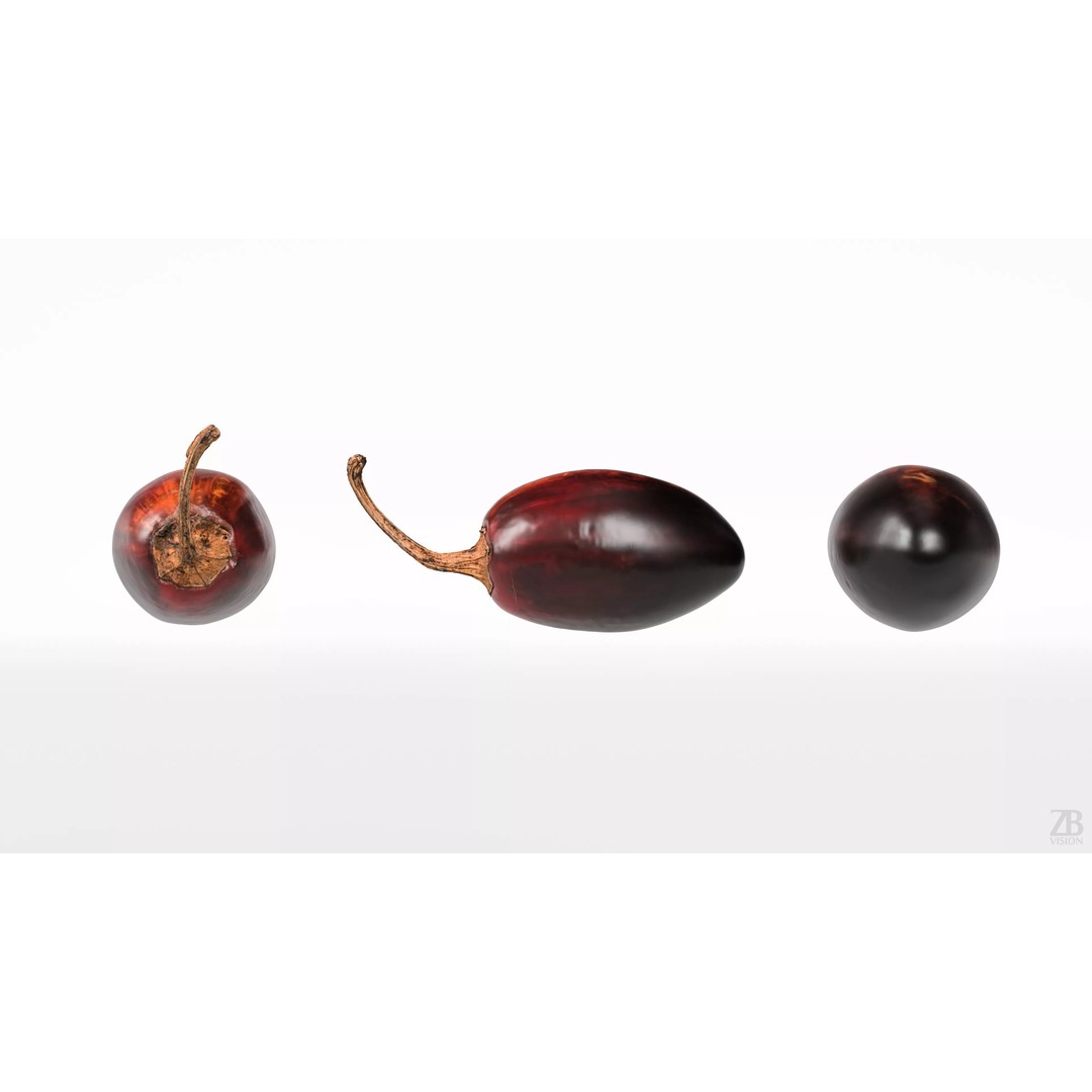 Cascabel Chili Pepper 3D Model – Photorealistic PBR Asset, FBX, OBJ - View 6