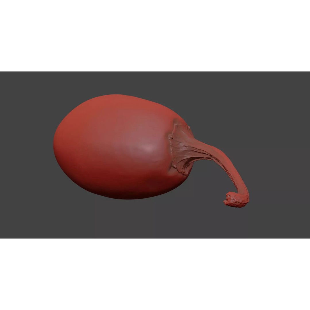 Cascabel Chili Pepper 3D Model – Photorealistic PBR Asset, FBX, OBJ - View 9