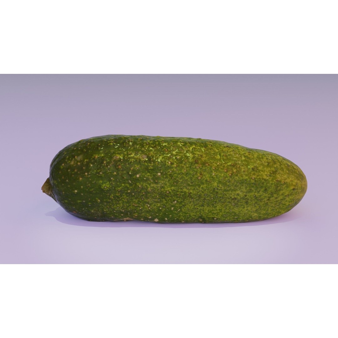 Cucumber 3D Model – Low Poly Photorealistic Vegetable, FBX, OBJ - View 13
