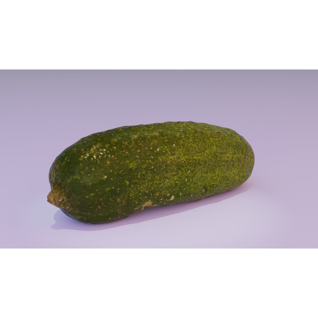 Cucumber 3D Model – Low Poly Photorealistic Vegetable, FBX, OBJ - View 14