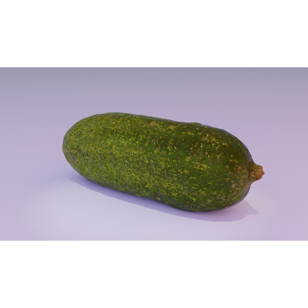 Cucumber 3D Model – Low Poly Photorealistic Vegetable, FBX, OBJ - View 17