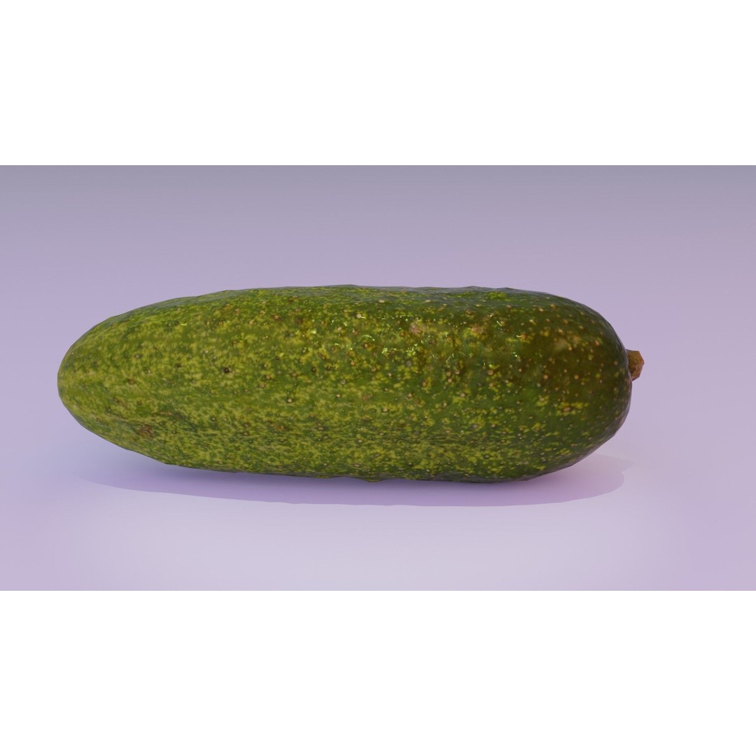 Cucumber 3D Model – Low Poly Photorealistic Vegetable, FBX, OBJ - View 18