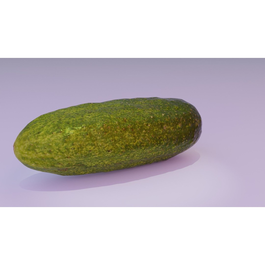 Cucumber 3D Model – Low Poly Photorealistic Vegetable, FBX, OBJ - View 19