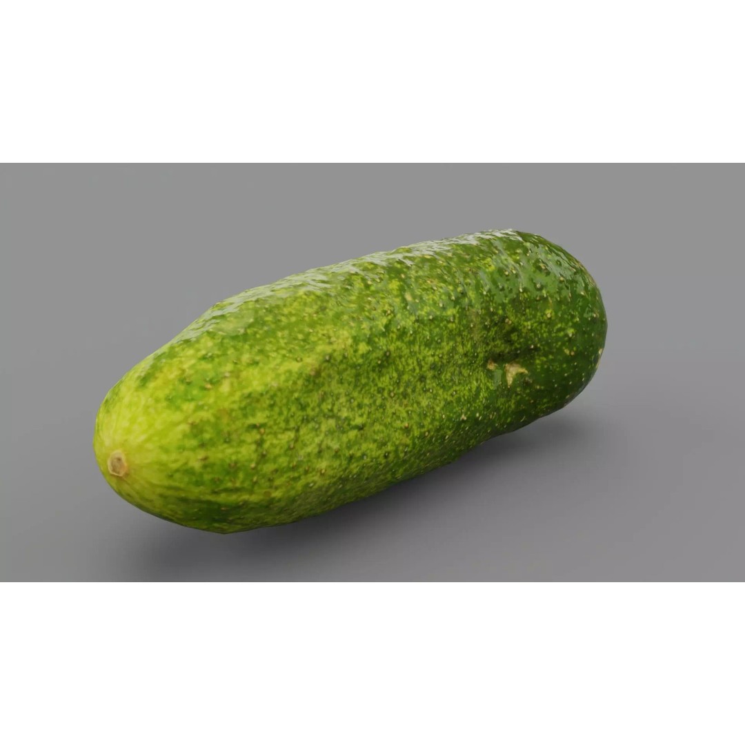 Cucumber 3D Model – Low Poly Photorealistic Vegetable, FBX, OBJ - View 2