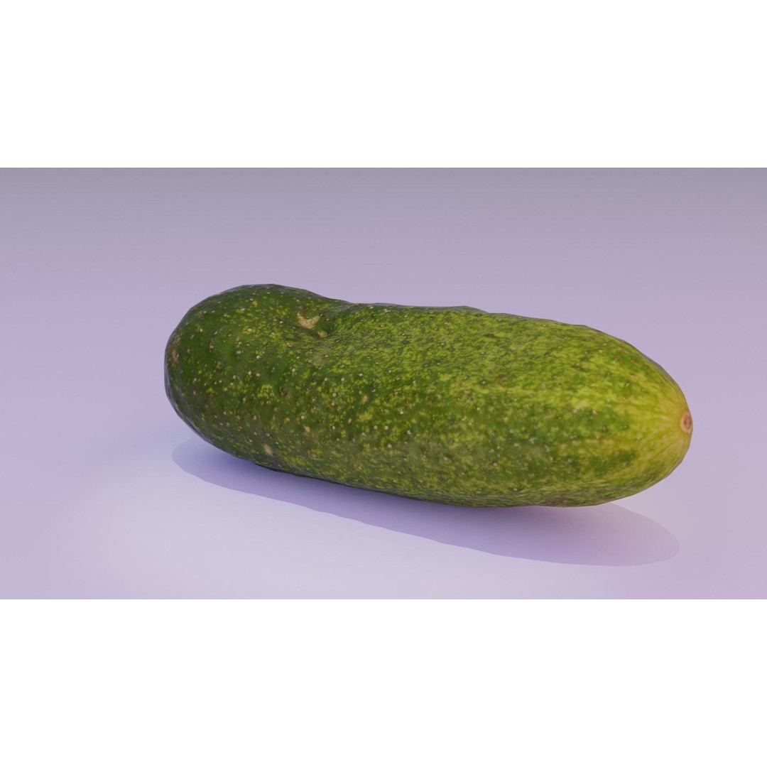 Cucumber 3D Model – Low Poly Photorealistic Vegetable, FBX, OBJ - View 22