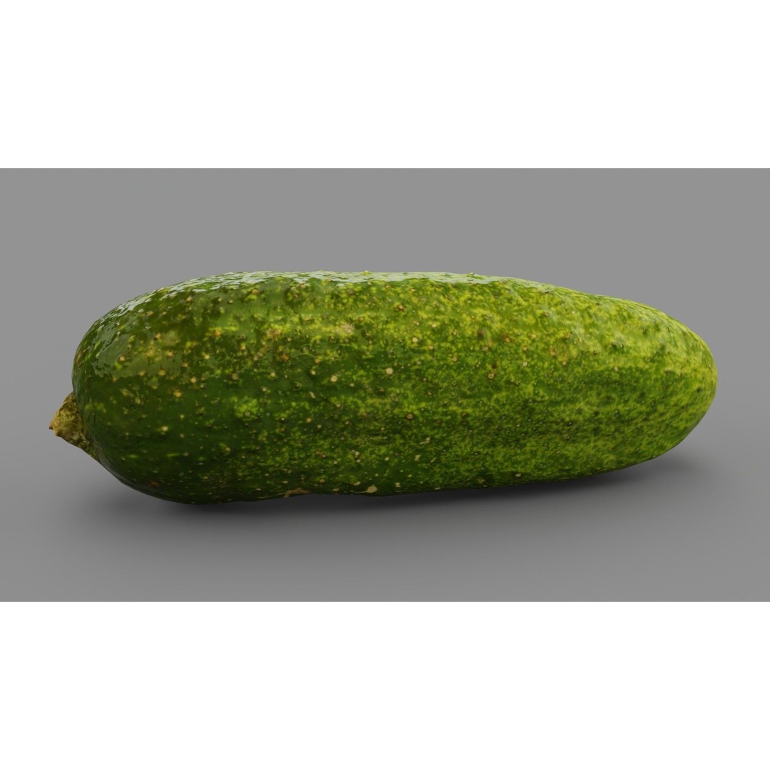 Cucumber 3D Model – Low Poly Photorealistic Vegetable, FBX, OBJ - View 23