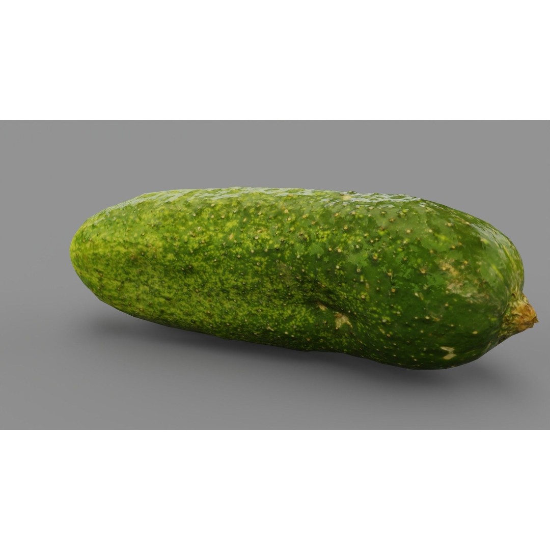 Cucumber 3D Model – Low Poly Photorealistic Vegetable, FBX, OBJ - View 27