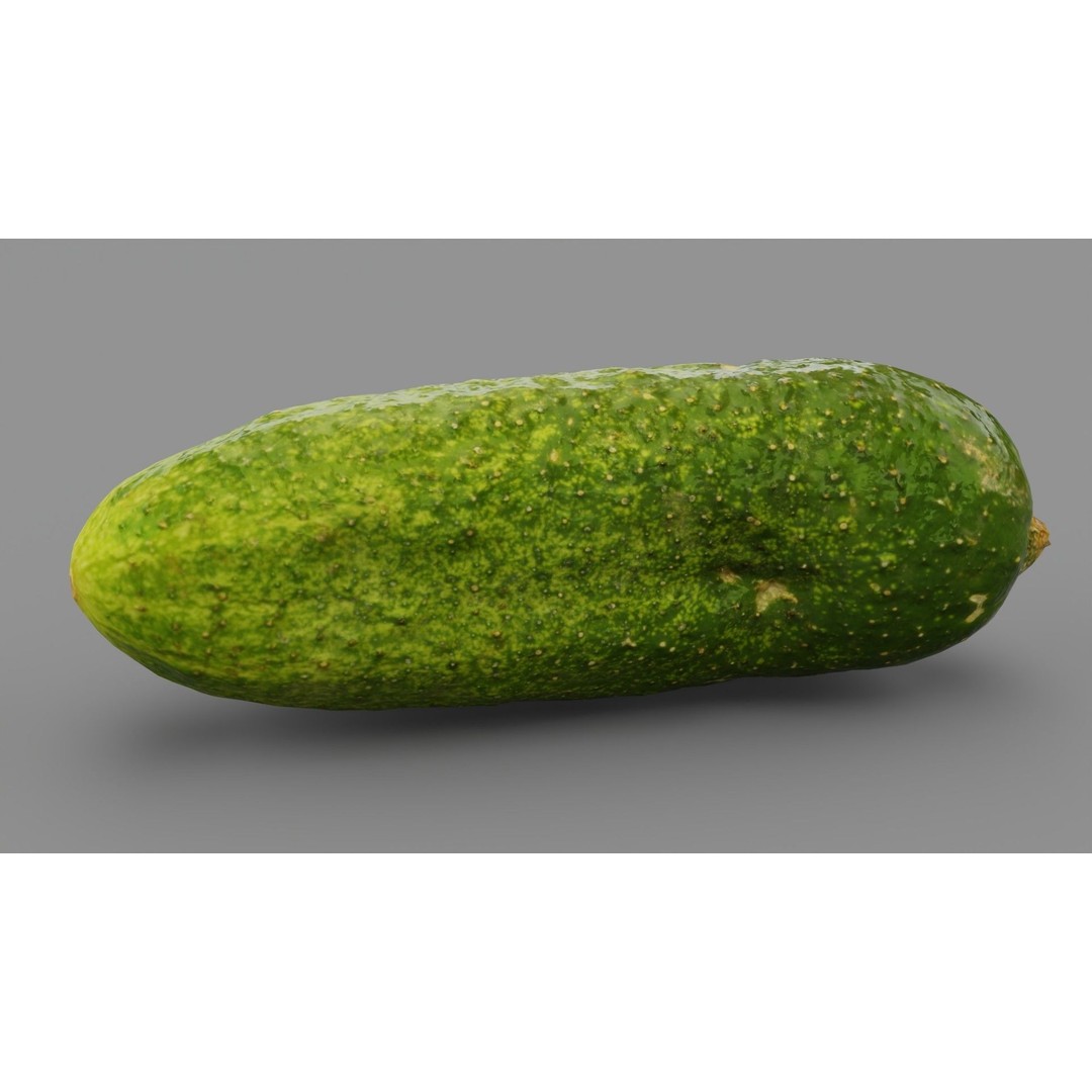 Cucumber 3D Model – Low Poly Photorealistic Vegetable, FBX, OBJ - View 28