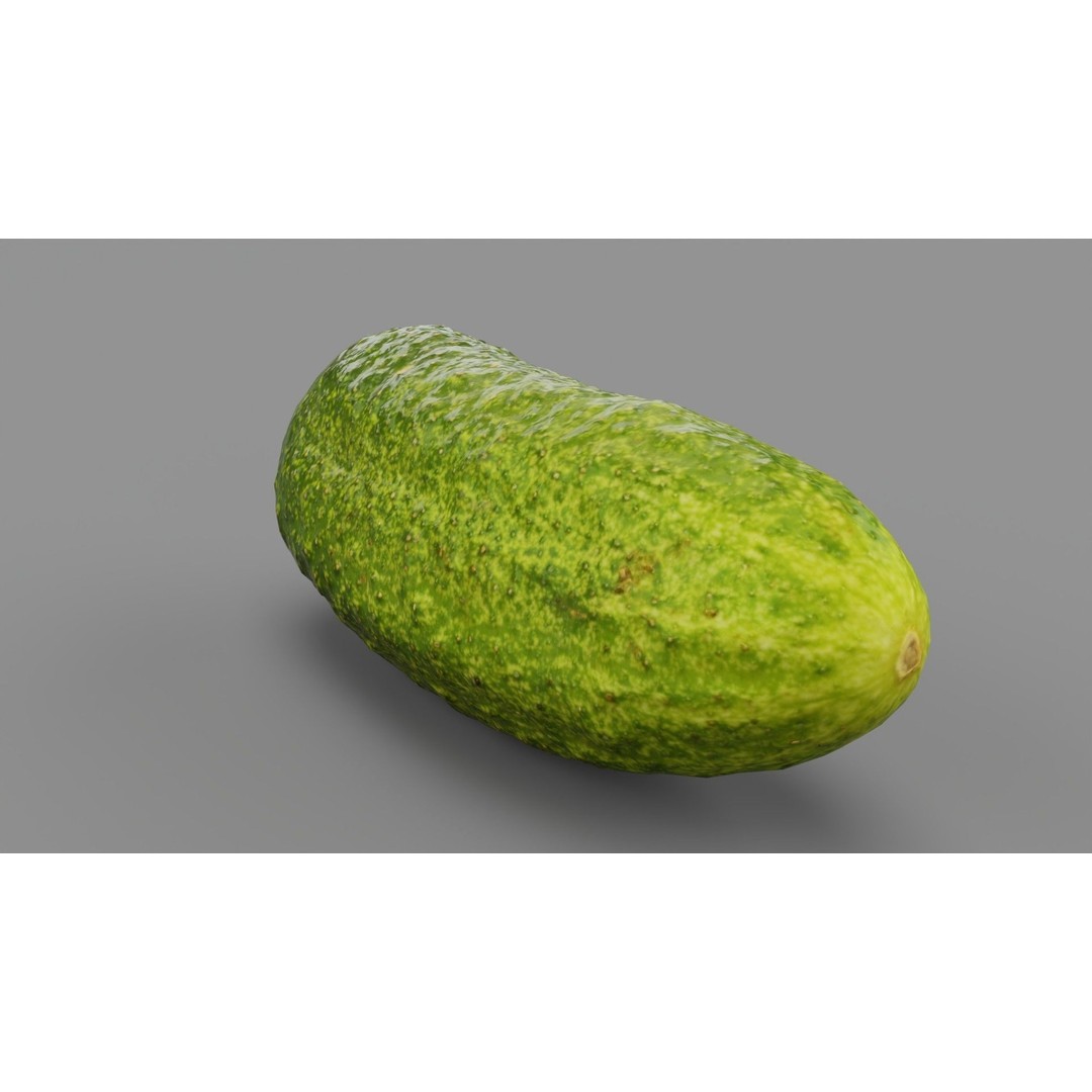 Cucumber 3D Model – Low Poly Photorealistic Vegetable, FBX, OBJ - View 30