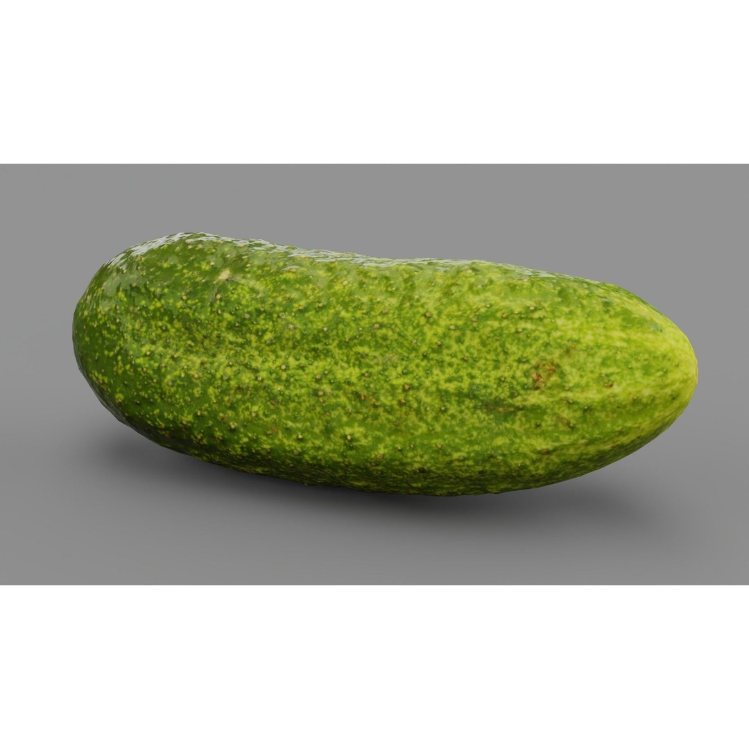 Cucumber 3D Model – Low Poly Photorealistic Vegetable, FBX, OBJ - View 31