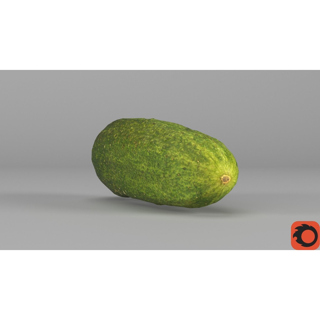 Cucumber 3D Model – Low Poly Photorealistic Vegetable, FBX, OBJ - View 32