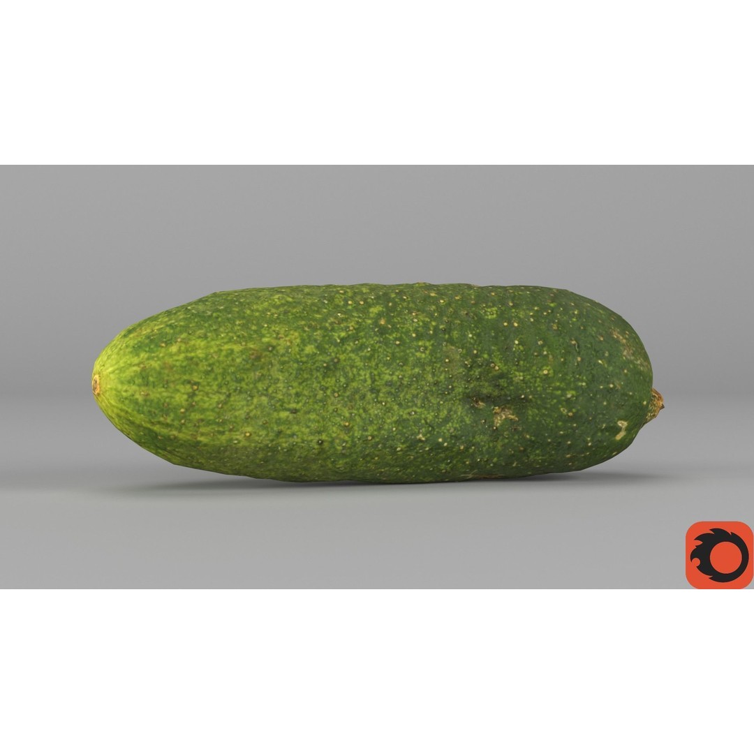 Cucumber 3D Model – Low Poly Photorealistic Vegetable, FBX, OBJ - View 33