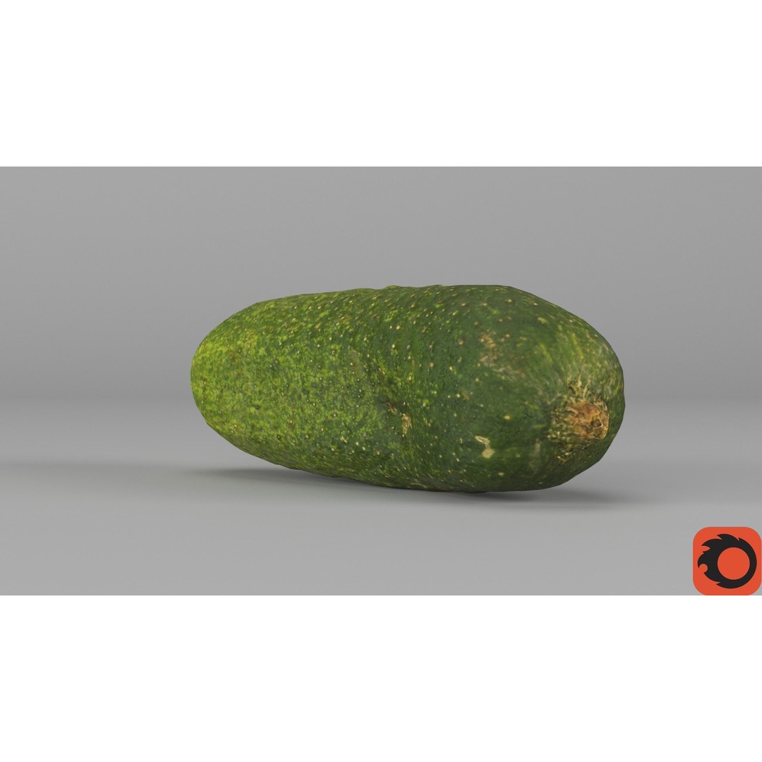 Cucumber 3D Model – Low Poly Photorealistic Vegetable, FBX, OBJ - View 34