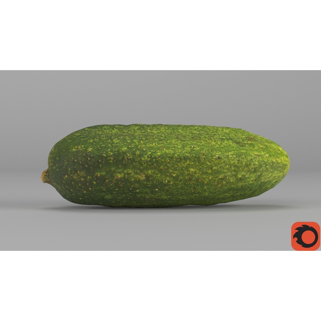 Cucumber 3D Model – Low Poly Photorealistic Vegetable, FBX, OBJ - View 35