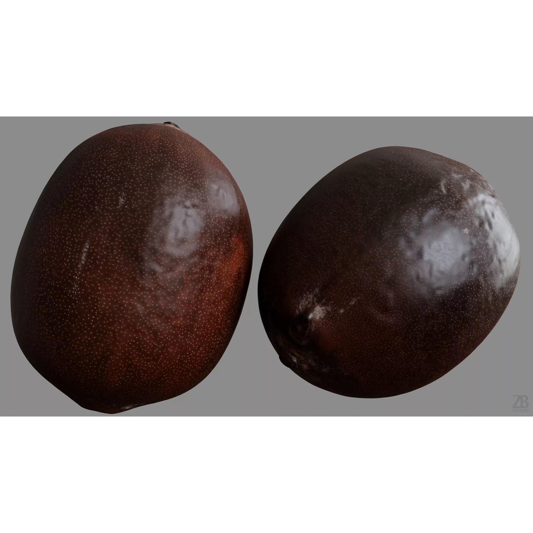 Lotus Seed 3D Model – Photorealistic Game Asset, FBX, OBJ