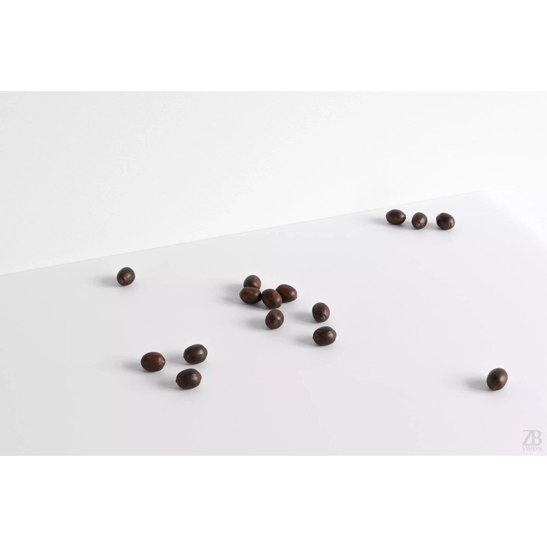 Lotus Seed 3D Model – Photorealistic Game Asset, FBX, OBJ - View 2