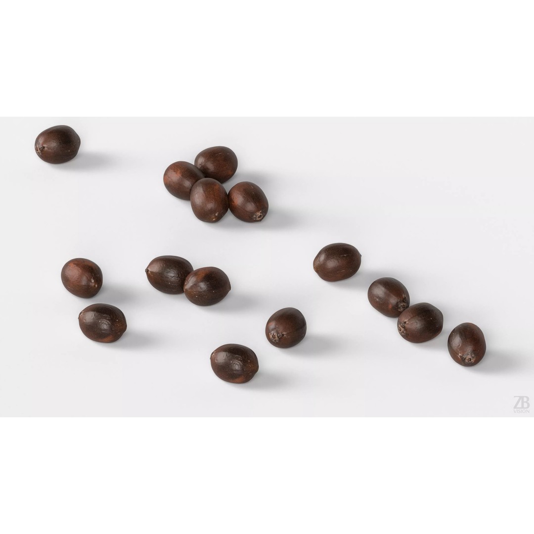 Lotus Seed 3D Model – Photorealistic Game Asset, FBX, OBJ - View 4