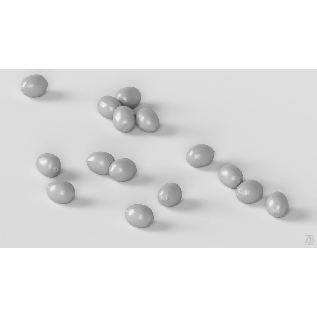 Lotus Seed 3D Model – Photorealistic Game Asset, FBX, OBJ - View 5