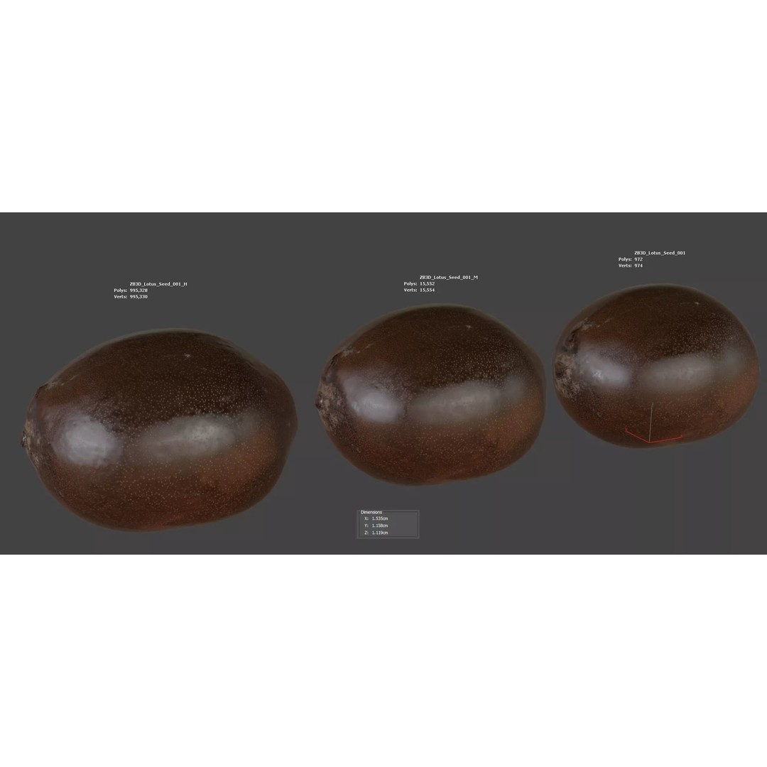 Lotus Seed 3D Model – Photorealistic Game Asset, FBX, OBJ - View 7