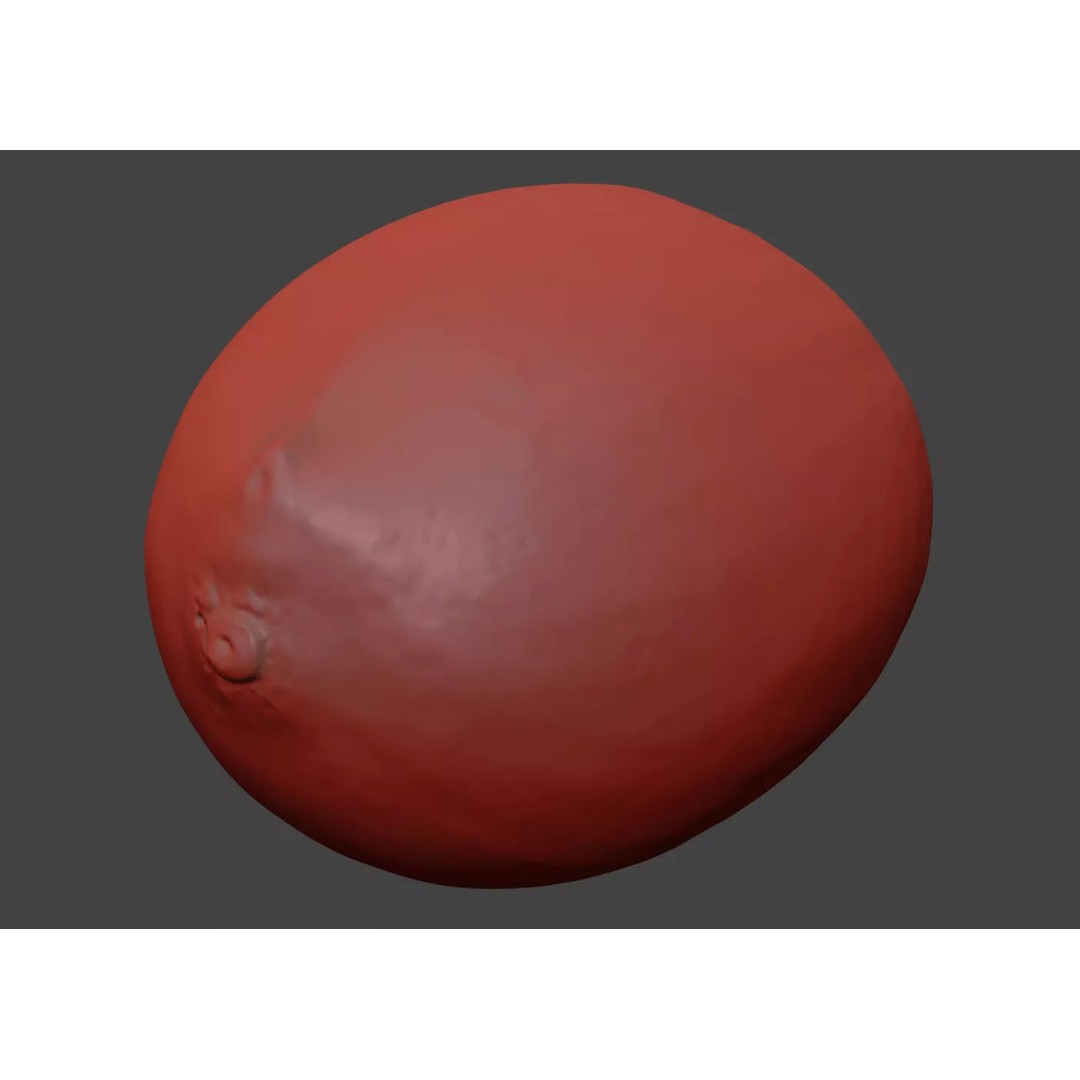 Lotus Seed 3D Model – Photorealistic Game Asset, FBX, OBJ - View 9