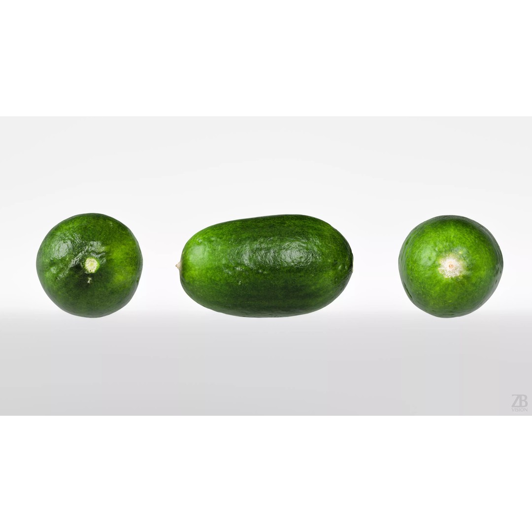 Cucumber 3D Model – Photorealistic PBR Asset for Visualizations - View 6